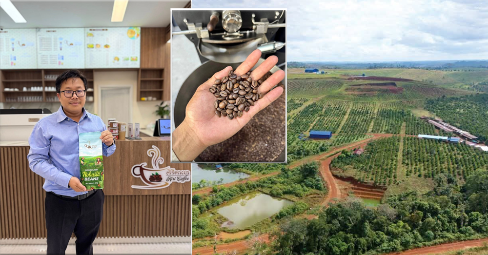 លើកតម្កើនផលិតផលកាហ្វេ, វិនិយោគិនខ្មែរប្រមូលទិញគ្រាប់កាហ្វេពីកសិករ យកមកផលិតកែច្នៃផ្គត់ផ្គង់ទីផ្សារក្នុងស្រុក ជាមួយតម្លៃសមរម្យ បន្ថយការនាំចូលពីបរទេស