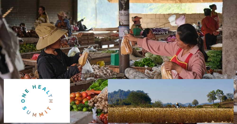 ចំណេះដឹងទូទៅ៖ ឈ្វេងយល់ពីកិច្ចប្រជុំកំពូល ស្តីពីសុខភាពតែមួយ ដែលជាកិច្ចប្រជុំកម្រិតខ្ពស់លើកដំបូងមិនធ្លាប់មាន ធ្វើឡើងនៅទីក្រុងលីយ៉ុង