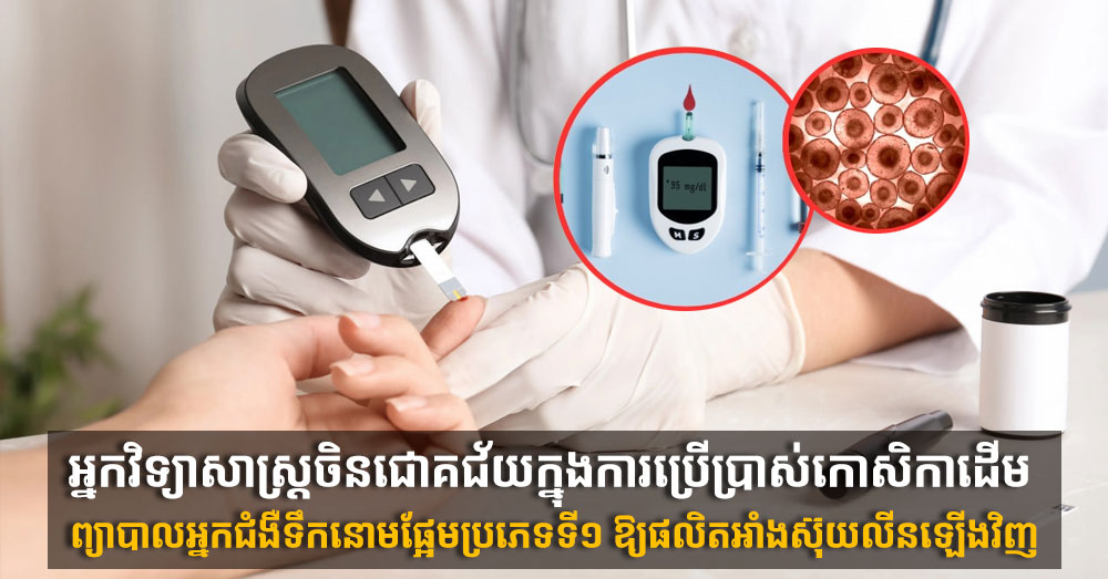 អ្នកវិទ្យាសាស្ត្រចិនជោគជ័យក្នុងការប្រើប្រាស់កោសិកាដើម ព្យាបាលអ្នកជំងឺទឹកនោមផ្អែមប្រភេទទី១ ឱ្យផលិតអាំងស៊ុយលីនឡើងវិញ