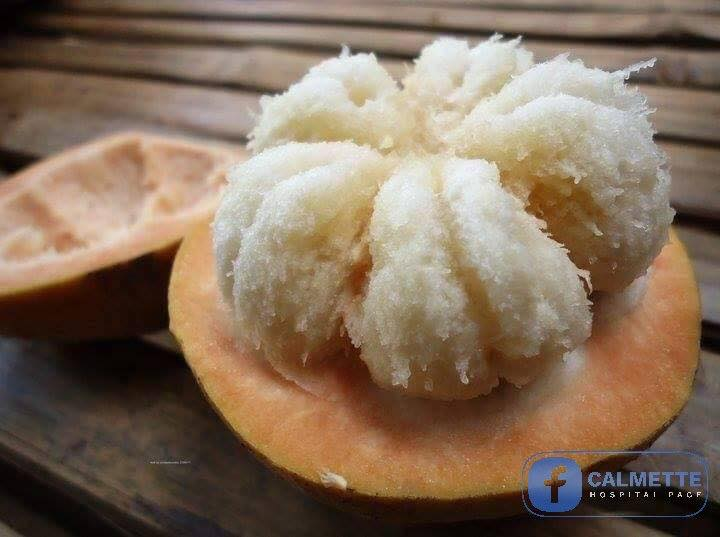 ចំណេះដឹងទូទៅ៖ ការបរិភោគផ្លែកំពីងរាជ្យទាំងគ្រាប់អាចបង្កឲ្យមានគ្រោះថ្នាក់ដល់អាយុជីវិត