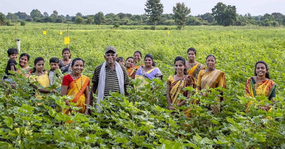 Sri Lanka launches digital seed certification, traceability system